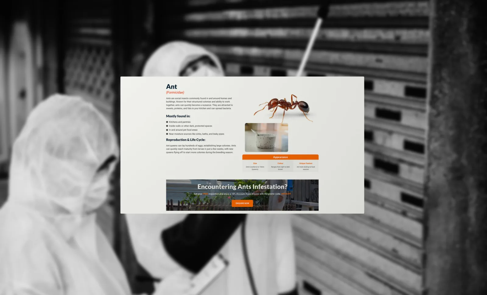 Eminent Pest Control photo 3